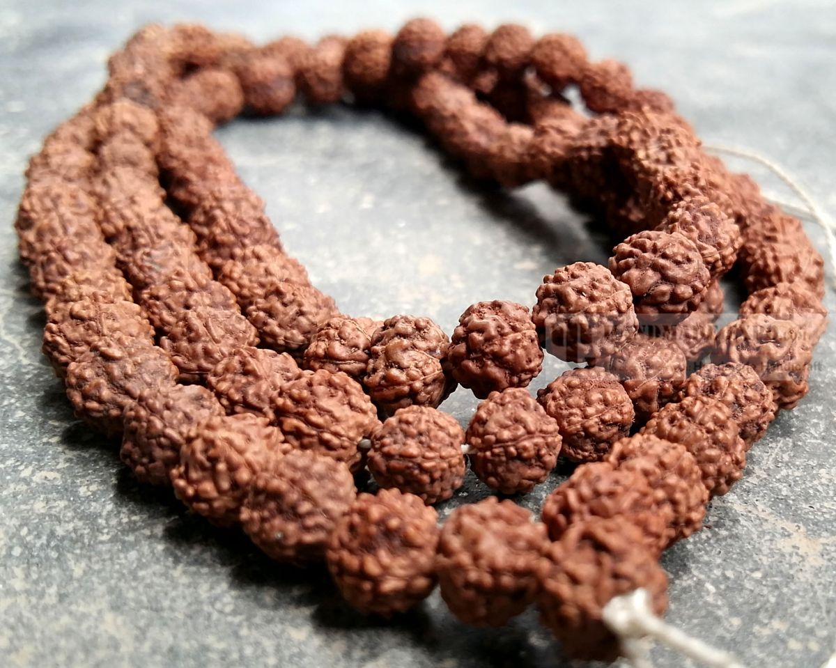 6mm Rudraksha 108 Prayer Beads Mala