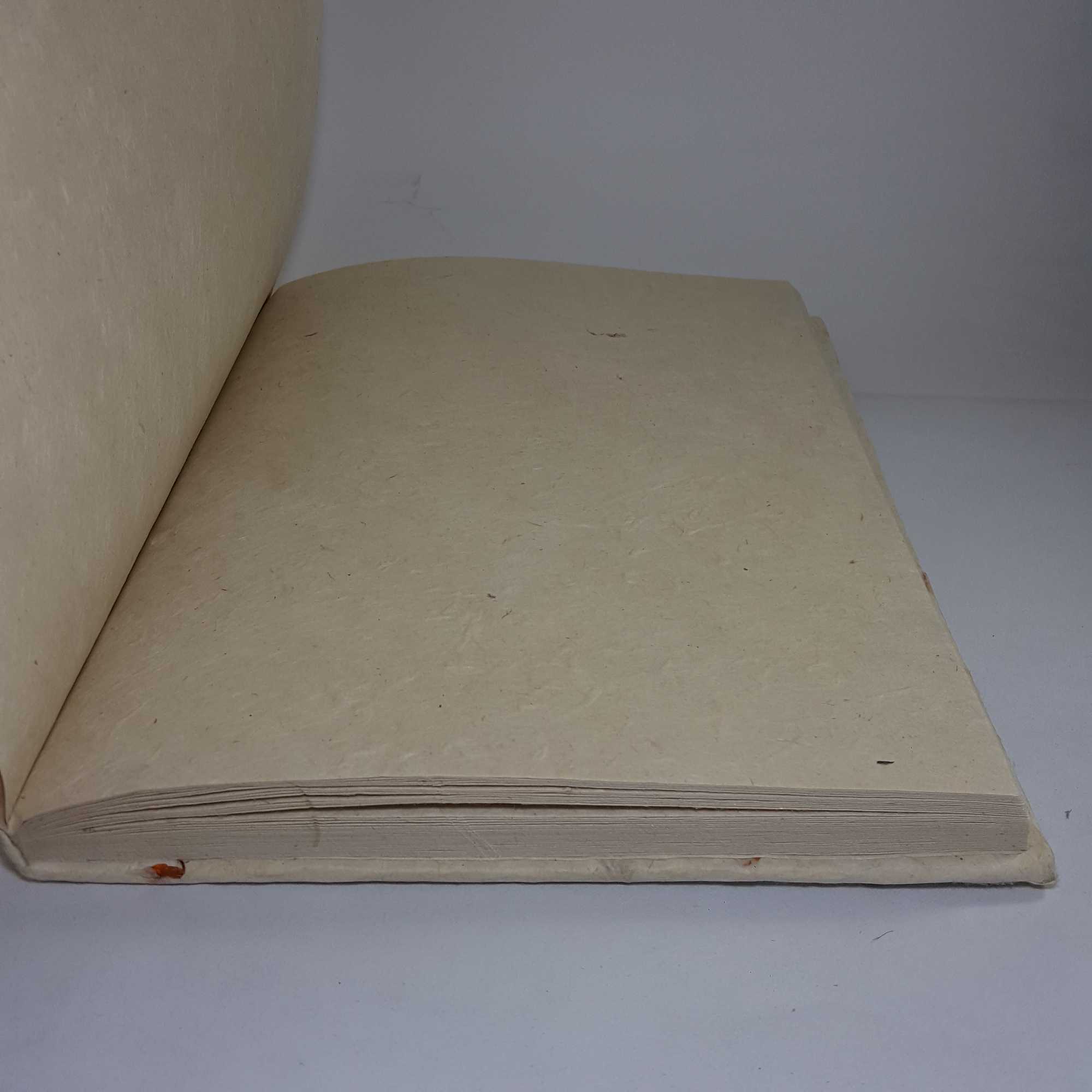 extra Large Lokta Paper Register Book, with Flower Petals