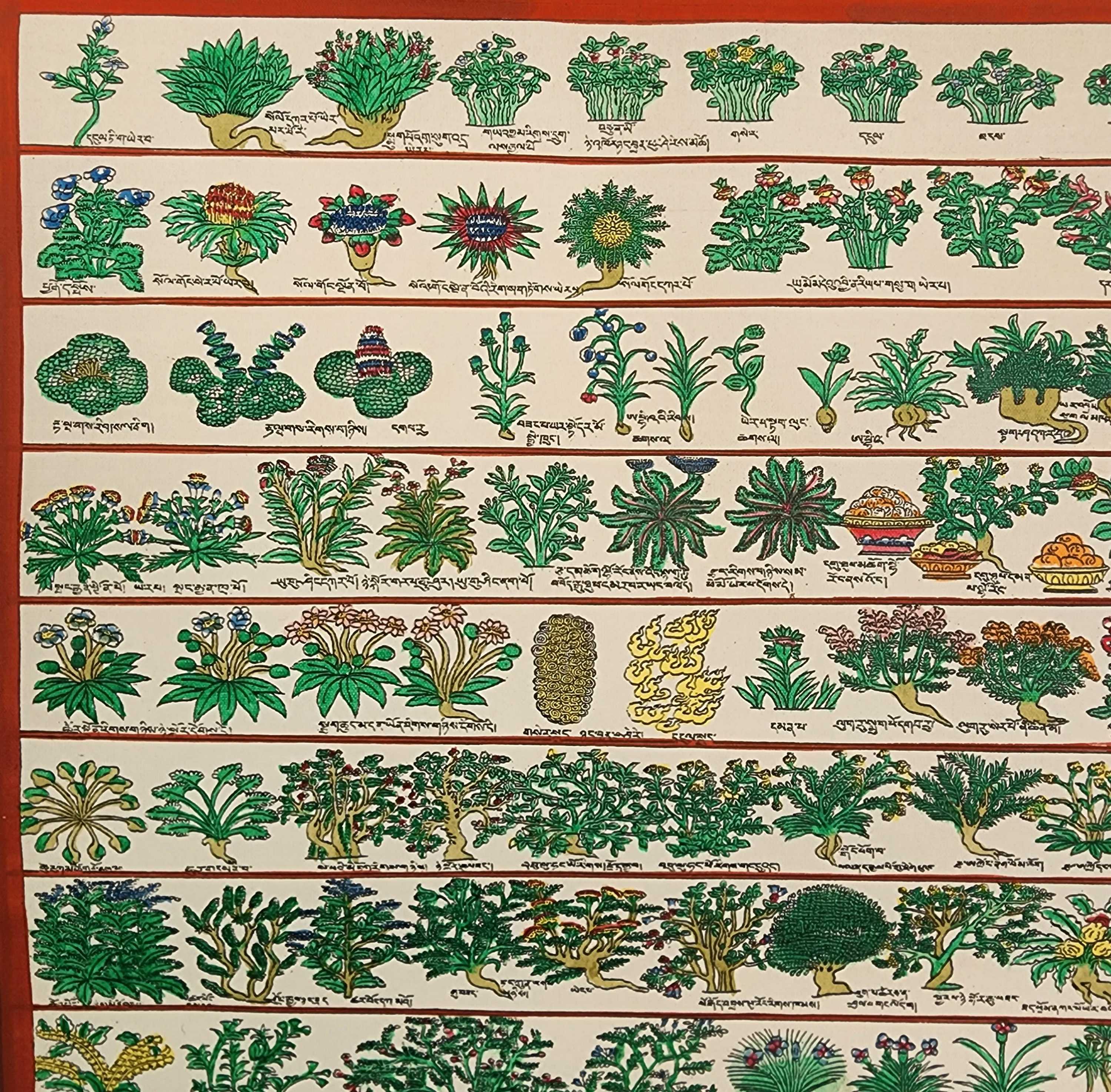 Buddhist Tibetan Thangka <span Style=