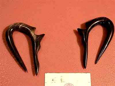 Bone Design Earring (pairs)