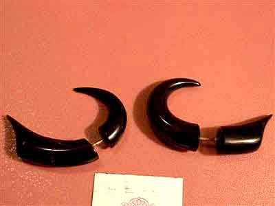Bone Design Earring (pairs)