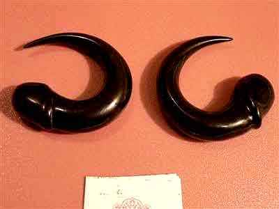 Bone Design Earring (pairs)