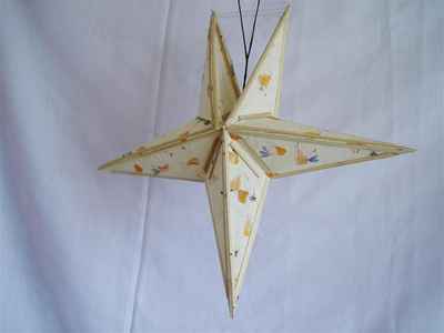 Star Design Lamp Shade, [real Flower]