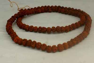 Rudraksha Prayer Beads