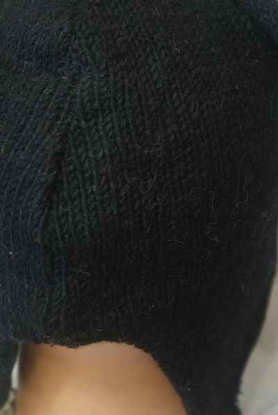 Angry Bird Cap
