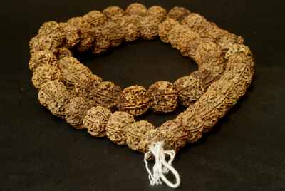 Rudraksha Prayer Beads