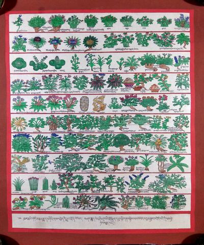 Medical Thangka {medical Herbs Ii}