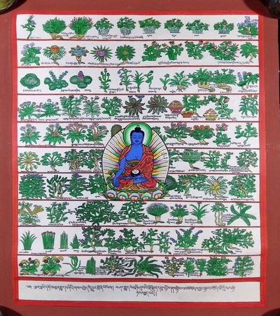 Medical Thangka [medicinal Herbs]