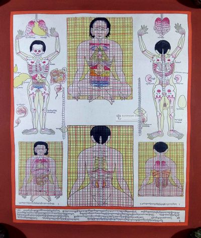 Medical Thangka [vital Organs]