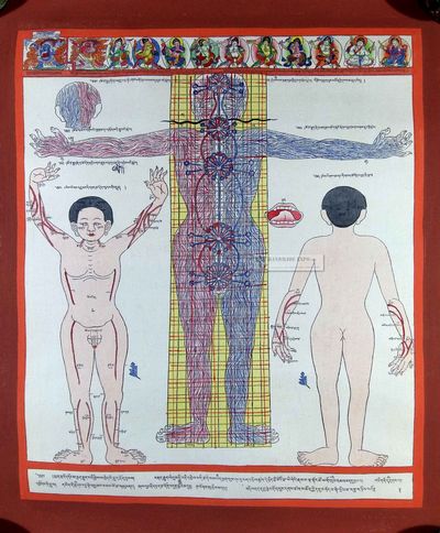 Medical Thangka [nerves System]