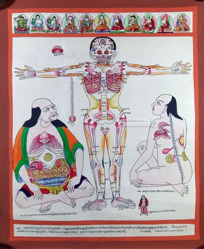 Medical Thangka [bone Structure]