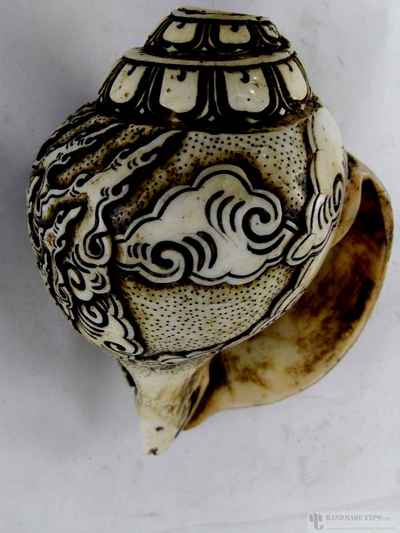 12 Arms Ganesh [hand Carved], Conch Shell