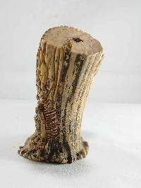Tibet Tantra Old Cattle Bone Carved Mahakala Head