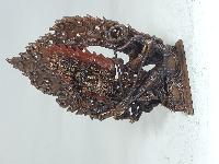 Statue Of Rahula Chocolates Oxidation