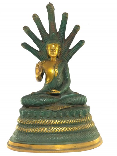 Statue Of Nagarjuna Buddha