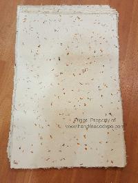 Nepali Lokta Wrapping Paper, [with Flowers Petals], V4