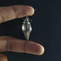 Silver Earrings With []