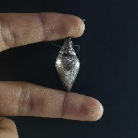 Silver Earrings With []
