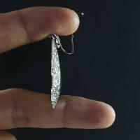 Silver Earrings With []