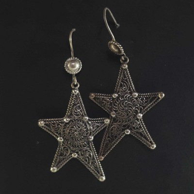 Silver Earrings With []