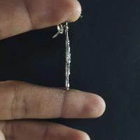 Silver Earrings With []