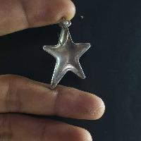 Silver Earrings With []