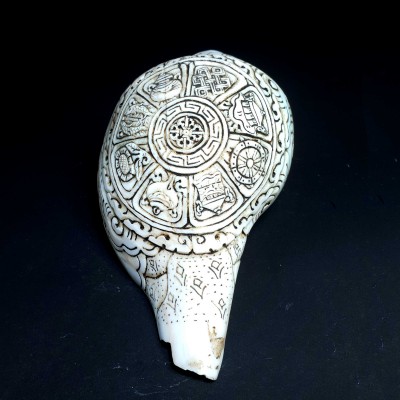 Tibetan Conch Shell With Ashtamangala S [hand Carved]