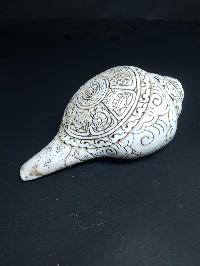 Tibetan Conch Shell With Ashtamangala S [hand Carved]
