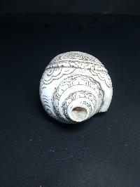 Tibetan Conch Shell With Ashtamangala S [hand Carved]