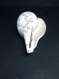 Tibetan Conch Shell With Ashtamangala S [hand Carved]