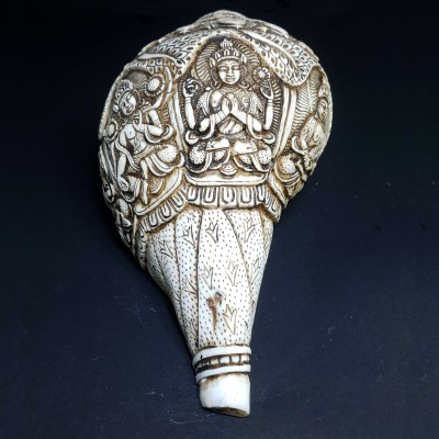 Tibetan Conch Shell With Manjushri, Green And White Tara, Chenrezig And Aparimita [hand Carved]