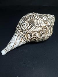 Tibetan Conch Shell With Manjushri, Green And White Tara, Chenrezig And Aparimita [hand Carved]