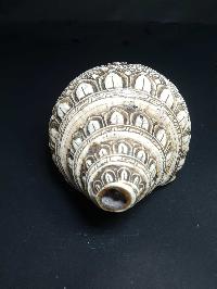 Tibetan Conch Shell With Manjushri, Green And White Tara, Chenrezig And Aparimita [hand Carved]