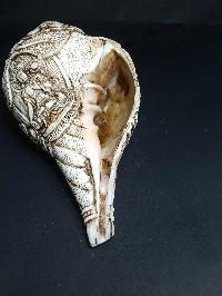 Tibetan Conch Shell With Manjushri, Green And White Tara, Chenrezig And Aparimita [hand Carved]
