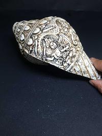 Tibetan Conch Shell With Manjushri, Green And White Tara, Chenrezig And Aparimita [hand Carved]