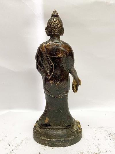 Buddhist Statue Of Standing Dipankara Buddha, [golden Paint And Antique Finishing]