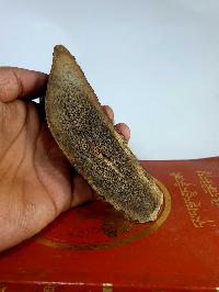 Buddhist Mahakala Carved In Yak Bone, On A Wooden Stand