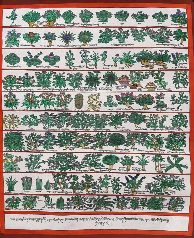 Buddhist Handmade Thangka Painting Of Medical Thangka, [hand Painted]