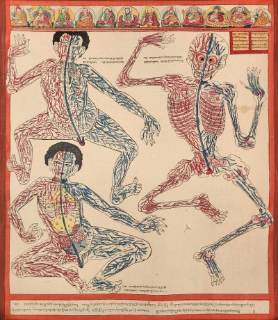 Buddhist Tibetan Thangka Of Medical Thangka, [hand Painted]