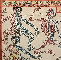 Buddhist Tibetan Thangka Of Medical Thangka, [hand Painted]