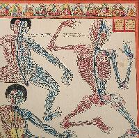 Buddhist Tibetan Thangka Of Medical Thangka, [hand Painted]