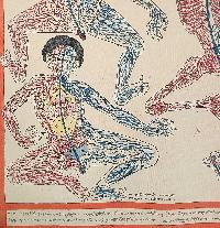 Buddhist Tibetan Thangka Of Medical Thangka, [hand Painted]