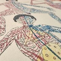 Buddhist Tibetan Thangka Of Medical Thangka, [hand Painted]