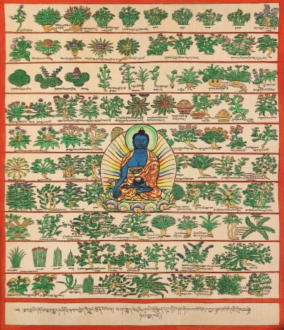 Buddhist Tibetan Thangka Of Medical Thangka, [medical Herbs], [hand Painted]