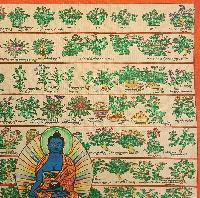 Buddhist Tibetan Thangka Of Medical Thangka, [medical Herbs], [hand Painted]