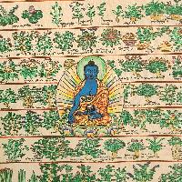 Buddhist Tibetan Thangka Of Medical Thangka, [medical Herbs], [hand Painted]