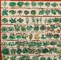 Buddhist Tibetan Thangka Of Medical Thangka, [medical Herbs], [hand Painted]