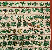 Buddhist Tibetan Thangka Of Medical Thangka, [medical Herbs], [hand Painted]
