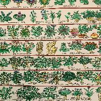 Buddhist Tibetan Thangka Of Medical Thangka, [medical Herbs], [hand Painted]