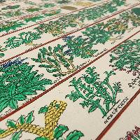 Buddhist Tibetan Thangka Of Medical Thangka, [medical Herbs], [hand Painted]